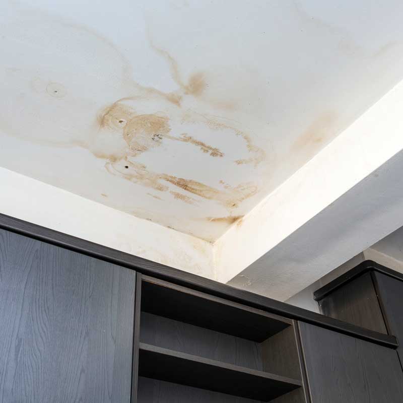 Leaking roof causes mildew and mold on a home's ceiling. 