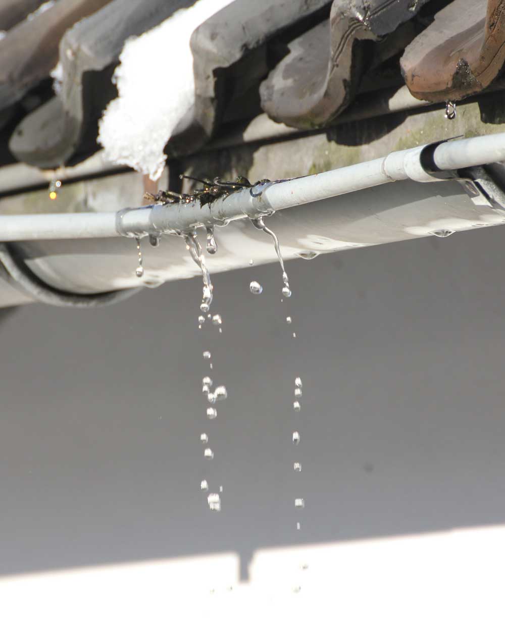 Water leaking over broken gutter | KTM Roofing