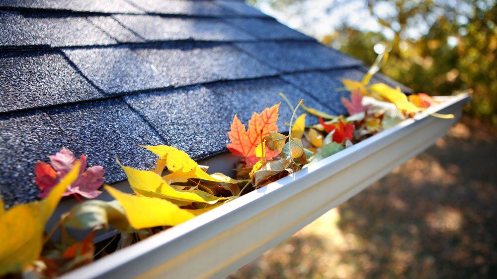 Fall Leaves in the Roof Gutter