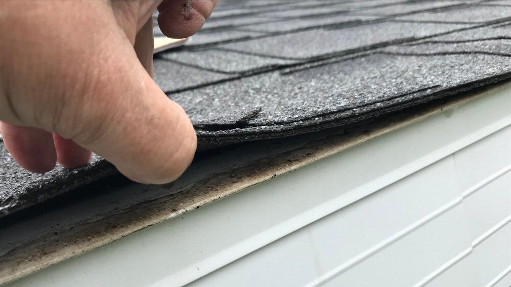 inspecting_roof_for_damage Inspecting a Roof for Damage