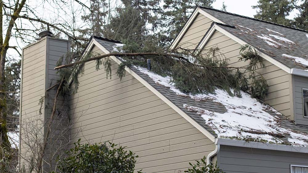 Georgia home with roof storm damage. Tree collapsed on the roof.