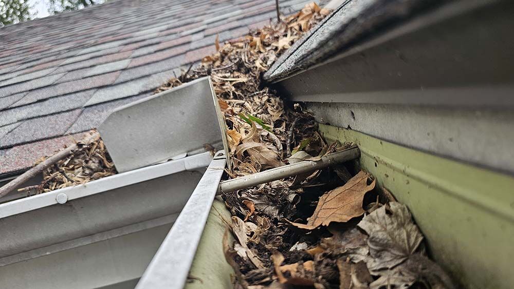 dirty gutters