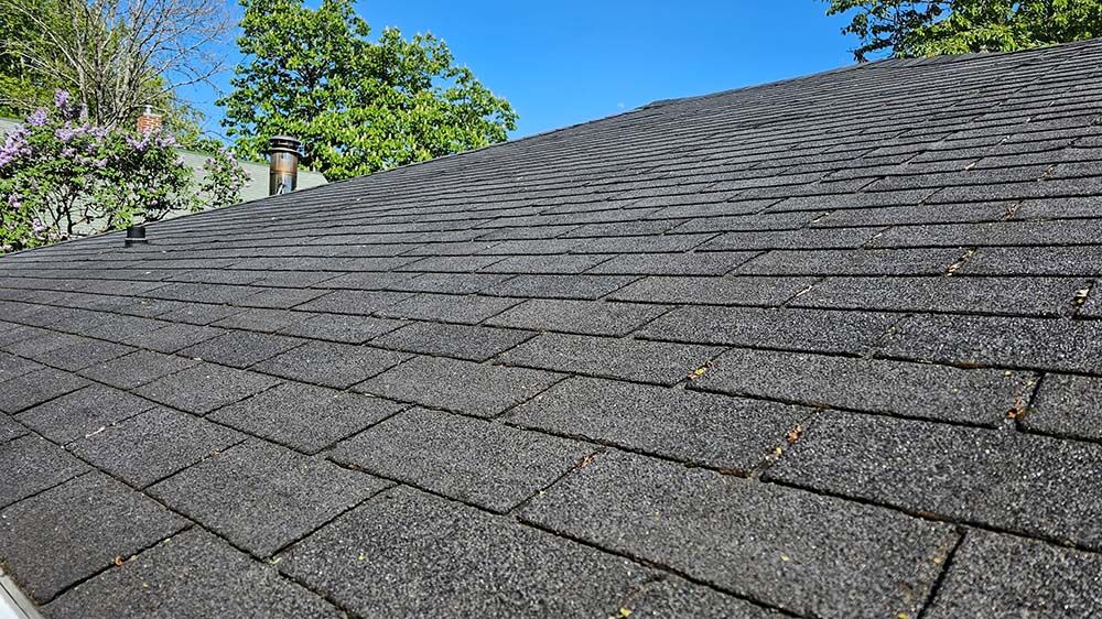 A,Well,Shingled,Roof,With,Little,Bits,Of,Nature,Between A well maintained roof