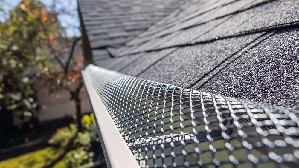 Roof gutter guard