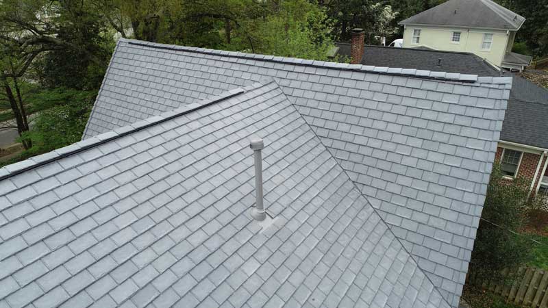 DaVinci roof project