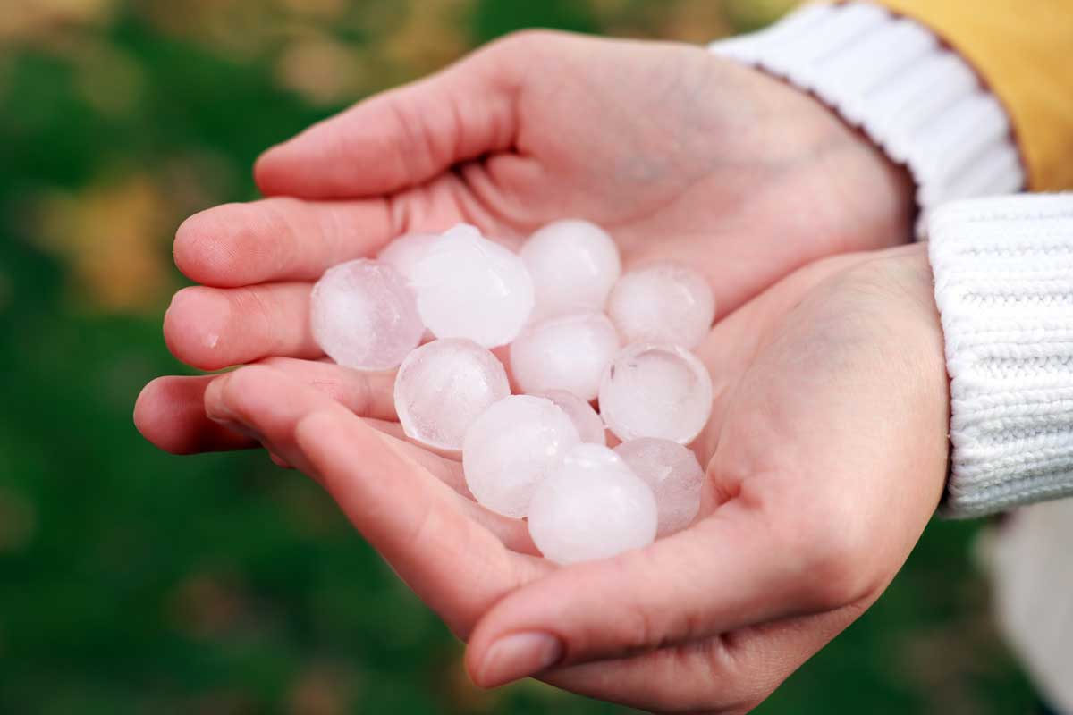 Hail in the palm of a women's hands