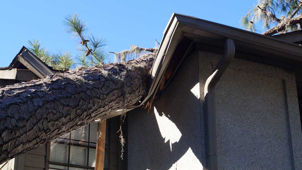Tree falls into Atlanta home's roof after storm.