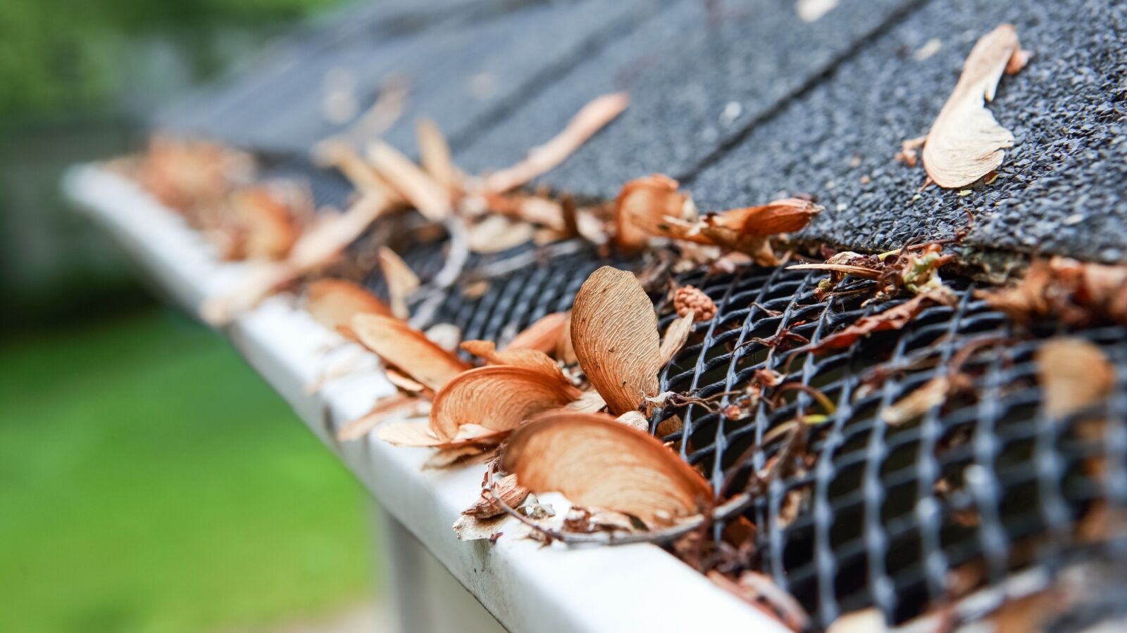 Gutter guards filter out leaves and debris during Georgia storms.